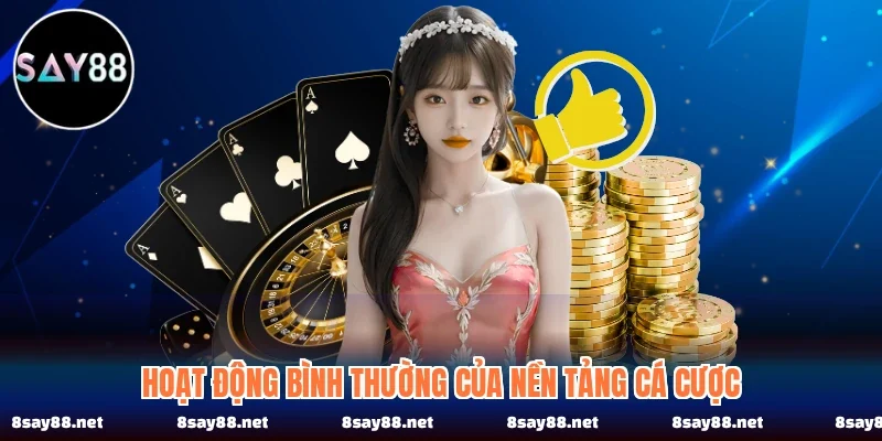 Hoạt động bình thường của nền tảng cá cược