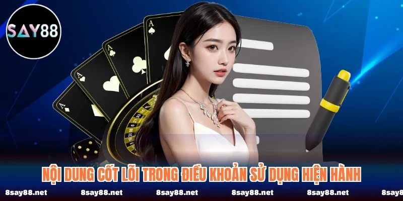 Nội dung cốt lõi trong điều khoản sử dụng hiện hành